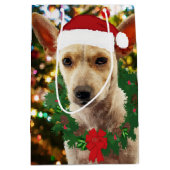 ワンちゃん達に喜ぶ ミディアムペーパーバッグ (正面)