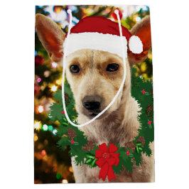 ワンちゃん達に喜ぶ ミディアムペーパーバッグ