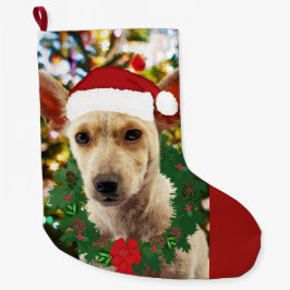 ワンちゃん達に喜ぶ ラージクリスマスストッキング