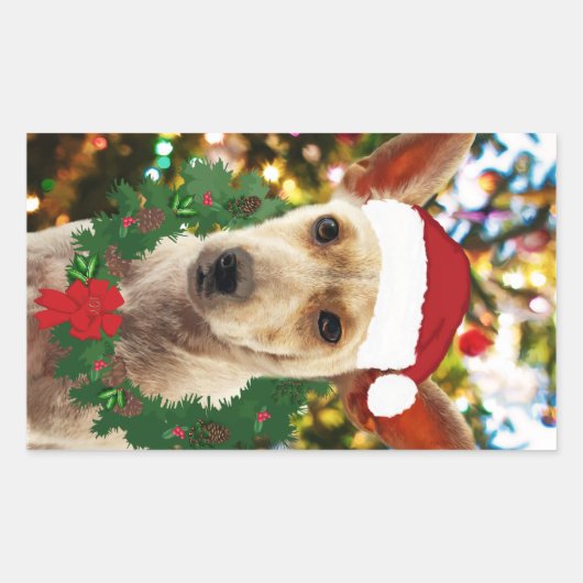 ワンちゃん達に喜ぶ 長方形シール (正面)