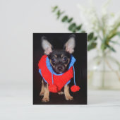 ワンちゃん ポストカード (スタンド正面)