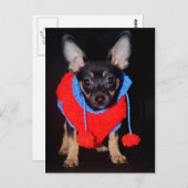 ワンちゃん ポストカード (正面/裏面)