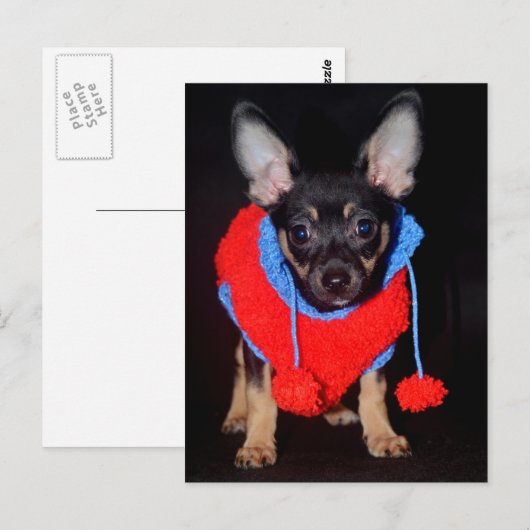 ワンちゃん ポストカード (正面/裏面)