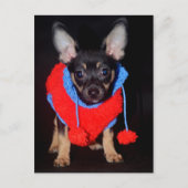 ワンちゃん ポストカード (正面)