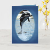 ワンオルカアットマリーンランド（フランス） カード (黄色い花)