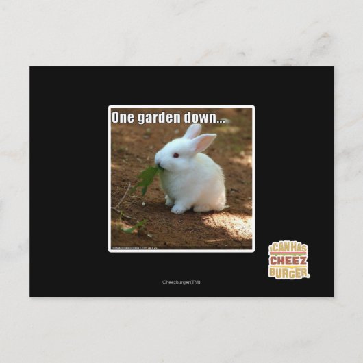 ワンガーデン�ダウン ポストカード (正面)