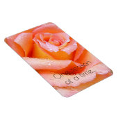 ワンシーズンアットアタイムピーチバラ マグネット (右側)