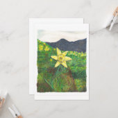 ワンスピー カード (正面/裏面インサイチュ)