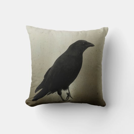 ワンタロンアップ クッション (正面)