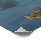 ワンダとフグ ポスター (角)