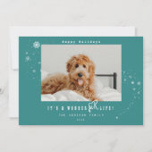 ワンダフルペットのクリスマス 雪の写真 シーズンカード (正面)