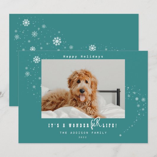 ワンダフルペットのクリスマス 雪の写真 シーズンカード (正面/裏面)