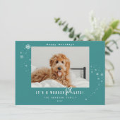 ワンダフルペットのクリスマス 雪の写真 シーズンカード (スタンド正面)