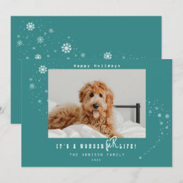 ワンダフルペットのクリスマス 雪の写真 シーズンカード