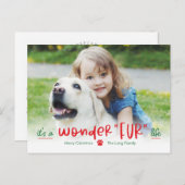 ワンダフルライフペットホリデーポストカード シーズンポストカード (正面/裏面)