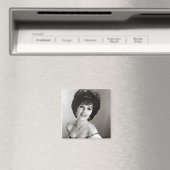 ワンダマグネット マグネット (インサイチュ (食洗機))