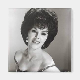 ワンダマグネット マグネット