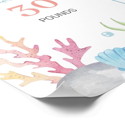 ワンダーザシー誕生日マイルストーンサインポスター ポスター (角)