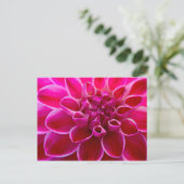 ワンダーシェナーピンク – ローザ – ファルベナーブリュテングルス ポストカード (スタンド正面)