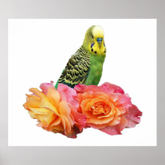 ワンダーバーズウェレンシティチ ポスター