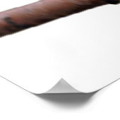 ワンダーバーズウェレンシティチ ポスター (角)