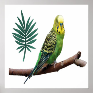 ワンダーバーズウェレンシティチ ポスター