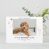 ワンダーファーライフペットの写真クリスマス  シーズンカード (スタンド正面)