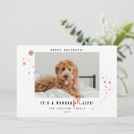 ワンダーファーライフペットの写真クリスマス  シーズンカード (スタンド正面)