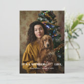 ワンダーフールペットモダン脚本のミニマリスト写真 シーズンカード (スタンド正面)