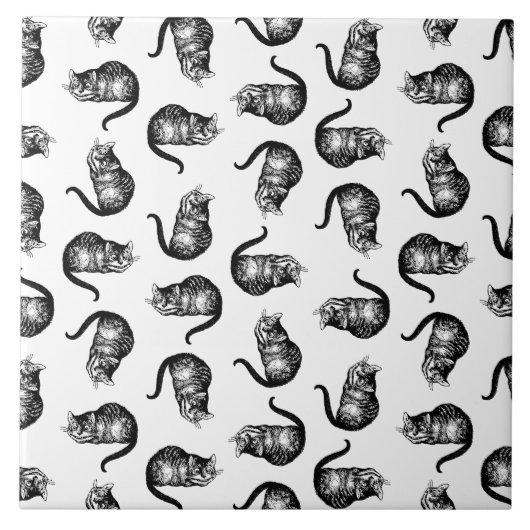 ワンダーランドのチェシャ猫アリスカスタムの色 タイル (正面)