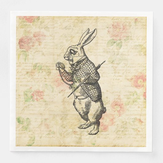 ワンダーランドの白うさぎのアリスヴィンテージ (正面)