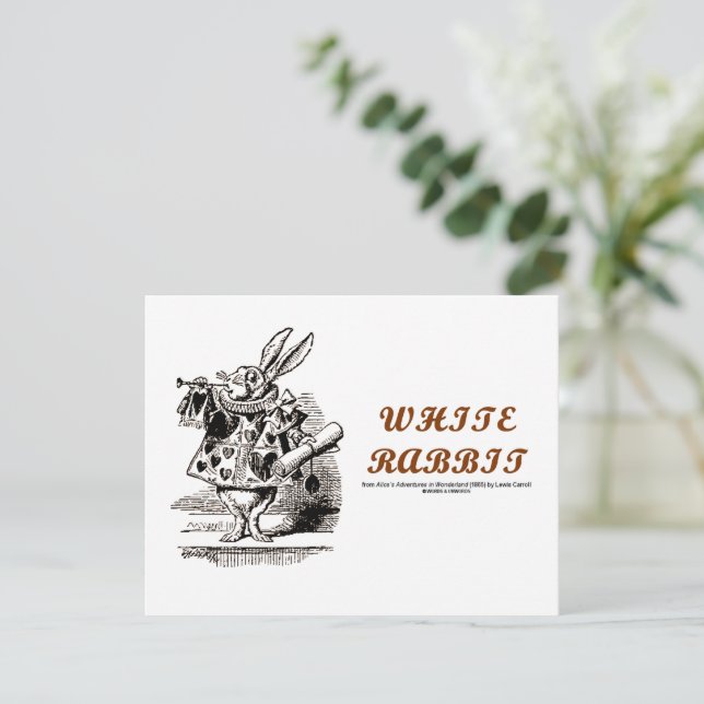 ワンダーランドホワイトウサギ (スタンド正面)