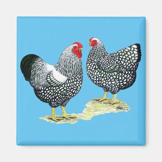 ワンドット銀貨ペア マグネット (正面)