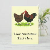 ワンドット：パトリッジペア 招待状 (スタンド正面)