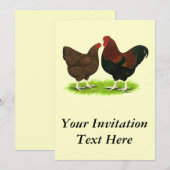 ワンドット：パトリッジペア 招待状 (正面/裏面)