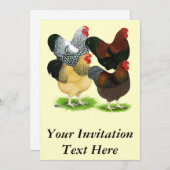 ワンドット： 雄鶏の組み合わせ 招待状 (正面/裏面)