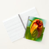 ワンバド ノートブック (内部)