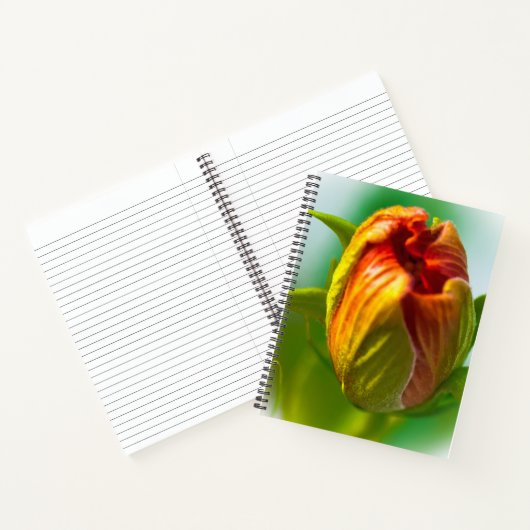 ワンバド ノートブック (内部)