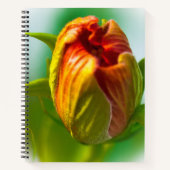 ワンバド ノートブック (正面)