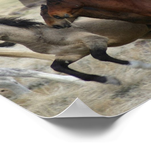 ワンバンド ポスター (角)