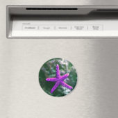 ワンパープルスターフィッシュロッキービーチ マグネット (インサイチュ (食洗機))