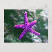 ワンパープルヒトオンビーチ ポストカード (正面)