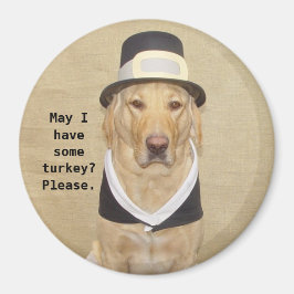 ワンピ賛美ルグリム マグネット