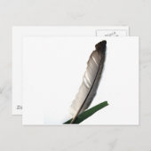 ワンフェザー ポストカード (正面/裏面)