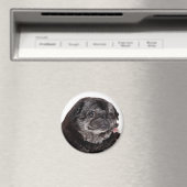 ワンプグ磁石をチャブする マグネット (インサイチュ (食洗機))