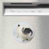 ワンプグ磁石をチャブする マグネット (インサイチュ (食洗機))