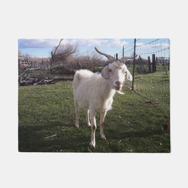 ワンヤングヤギ ドアマット (正面)