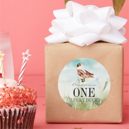 ワンラッキーアヒル水彩少年1歳の誕生日 ラウンドシール (パーティー)