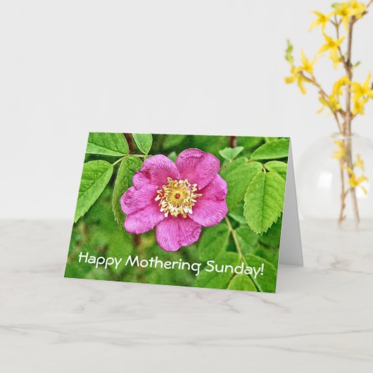 ワンワイルドバラ カード (黄色い花)