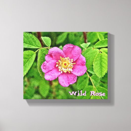 ワンワイルドバラ キャンバスプリント (正面)